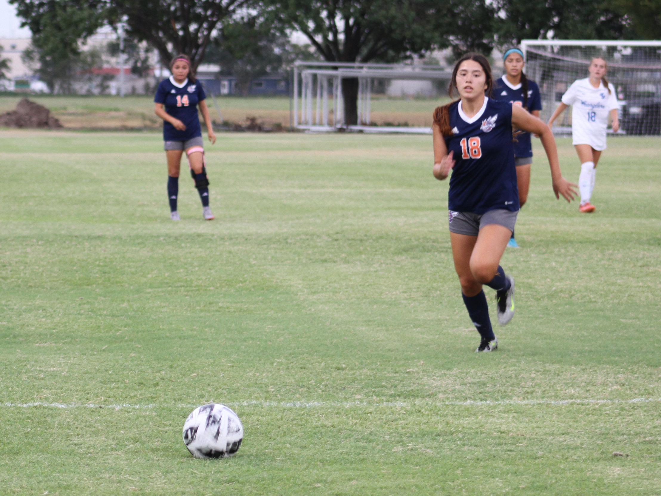 Harvester Bees Battle Suns to 2-2 Draw